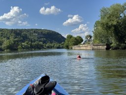 Mainschwimmen Juni 2026